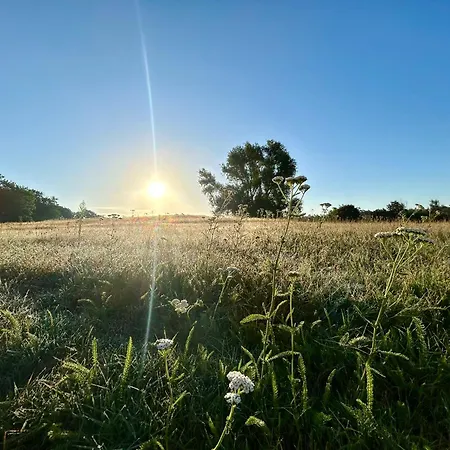 Balkon-studio Im Reindahls Apartment