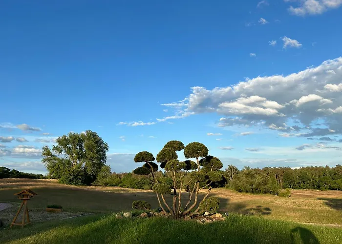 Balkon-studio Im Reindahls Lejlighed