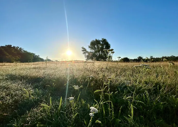 Balkon-studio Im Reindahls Lejlighed